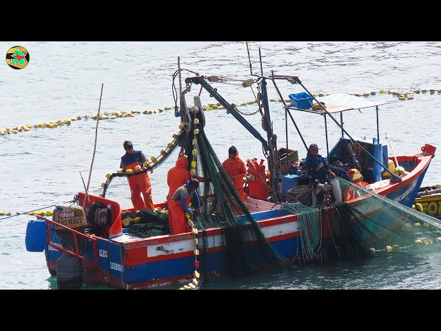 Barcos Arrastreros Los Gigantes De Las Redes De Pesca En Alta Mar Infopesca 8414