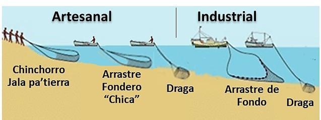 Pesca Artesanal Vs Pesca De Arrastre Conoce Las Diferencias Fundamentales Infopesca 9073